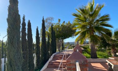 Hacienda Comercial   en  el corazón del  Valle de Guadalupe