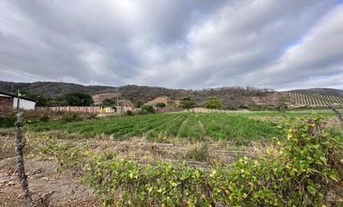 terreno de vente en charapoto manabi