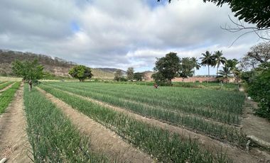 terreno de vente en charapoto manabi
