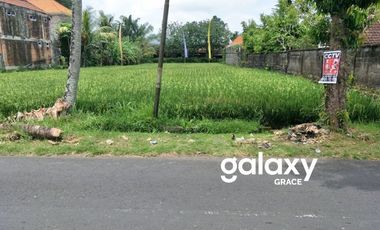 DISEWAKAN TANAH IR SUTAMI KEMENUH GIANYAR, BALI
