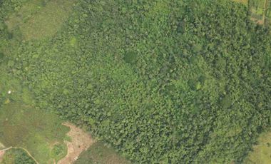 Terreno en venta 49.769 m2 Pasaje