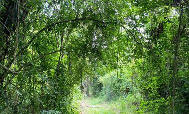 Terreno en venta 49.769 m2 Pasaje