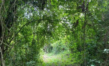Terreno en venta 49.769 m2 Pasaje