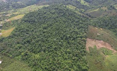 Terreno en venta 49.769 m2 Pasaje