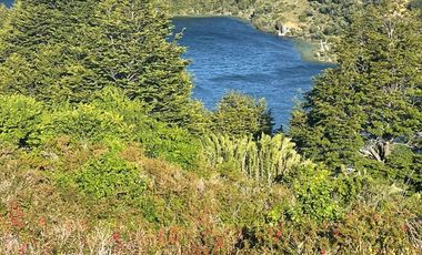 VENDO 180 HECTAREAS, LAGO ATRAVESADO, COMUNA DE COYHAIQUE
