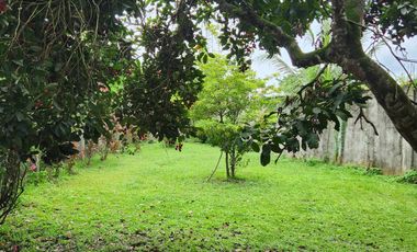Two-Storey House and Lot For Sale in San Isidro, San Pablo City