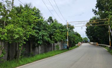 Two-Storey House and Lot For Sale in San Isidro, San Pablo City