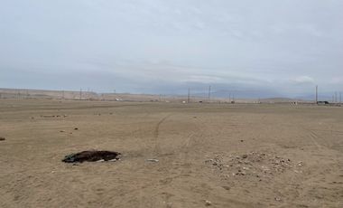 Venta de Terreno con potencial de desarrollo Distrito de Asia Km 108
