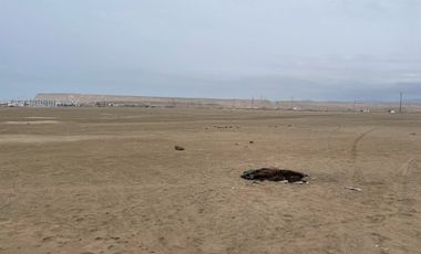 Venta de Terreno con potencial de desarrollo Distrito de Asia Km 108