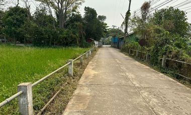 Land sale, 2rai 62sqWa., 6.9MB, Utility, Road, Doi Saket District, Chiang Mai.