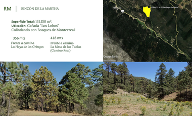 Vendo Hermoso Terreno, Zona Alta de San Antonio de las Alazanas, Arteaga, Coahuila, Descendente, con unas vistas espectaculares