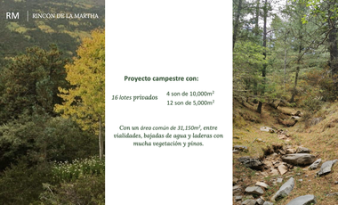 Vendo Hermoso Terreno, Zona Alta de San Antonio de las Alazanas, Arteaga, Coahuila, Descendente, con unas vistas espectaculares