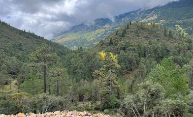 Vendo Hermoso Terreno, Zona Alta de San Antonio de las Alazanas, Arteaga, Coahuila, Descendente, con unas vistas espectaculares