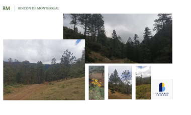Vendo Hermoso Terreno, Zona Alta de San Antonio de las Alazanas, Arteaga, Coahuila, Descendente, con unas vistas espectaculares