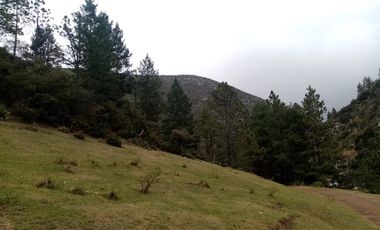 Vendo Hermoso Terreno, Zona Alta de San Antonio de las Alazanas, Arteaga, Coahuila, Descendente, con unas vistas espectaculares