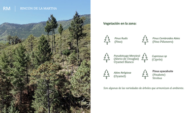 Vendo Hermoso Terreno, Zona Alta de San Antonio de las Alazanas, Arteaga, Coahuila, Descendente, con unas vistas espectaculares