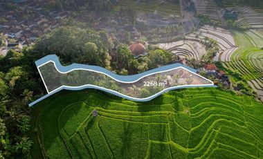 For Sale Freehold - Land area Tumbak Bayuh
