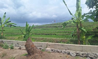 For Sale Freehold - Land area Tumbak Bayuh