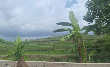 For Sale Freehold - Land area Tumbak Bayuh