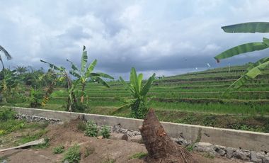 For Sale Freehold - Land area Tumbak Bayuh