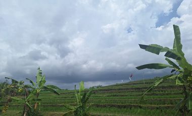 For Sale Freehold - Land area Tumbak Bayuh