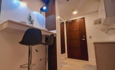 Fully Furnished Studio at 38 Park Avenue with Wi-fi 200 Mbps