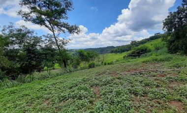 Agricultural Lot for Sale in Tanay, Rizal