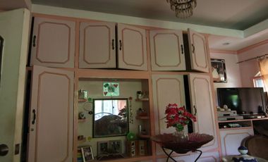 HOUSE AND LOT FOR SALE NEAR DUMAGUETE