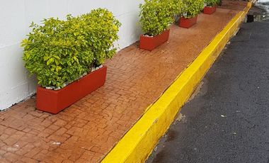 Renta Loft Teocelo, San Jeronimo Acuclo, Magdalena Contreras