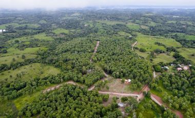 Finca41 de 5005 m2 Financiada 100% SIN INTERES PAGO EN $500 Quincenal