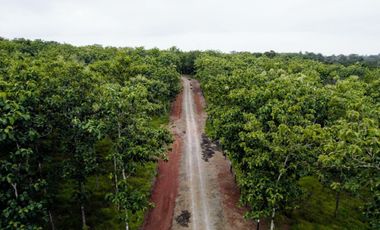 Finca41 de 5005 m2 Financiada 100% SIN INTERES PAGO EN $500 Quincenal