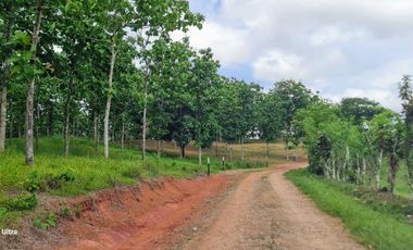 Finca41 de 5005 m2 Financiada 100% SIN INTERES PAGO EN $500 Quincenal