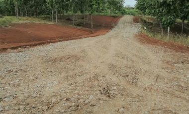 Finca41 de 5005 m2 Financiada 100% SIN INTERES PAGO EN $500 Quincenal