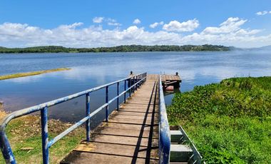 Finca41 de 5005 m2 Financiada 100% SIN INTERES PAGO EN $500 Quincenal