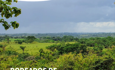 Finca41 de 5005 m2 Financiada 100% SIN INTERES PAGO EN $500 Quincenal