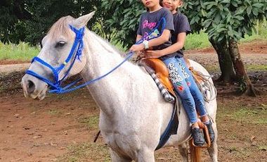 Finca41 de 5005 m2 Financiada 100% SIN INTERES PAGO EN $500 Quincenal