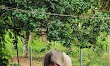 Finca41 de 5005 m2 Financiada 100% SIN INTERES PAGO EN $500 Quincenal