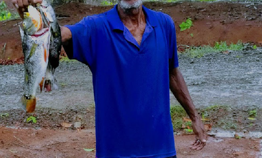 Finca41 de 5005 m2 Financiada 100% SIN INTERES PAGO EN $500 Quincenal