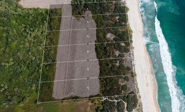Terreno Frente a La Playa Para Desarrolladores La Encomienda Puerto Escondido