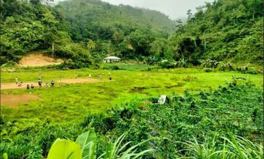 Subdivided Farm Lots in Sayao Sibonga