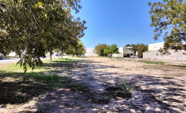 TERRENO EN VENTA EN REAL DEL NOGALAR TORREON COAHUILA