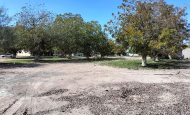 TERRENO EN VENTA EN REAL DEL NOGALAR TORREON COAHUILA