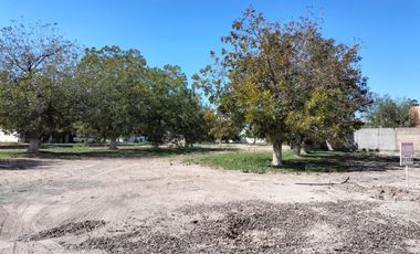 TERRENO EN VENTA EN REAL DEL NOGALAR TORREON COAHUILA
