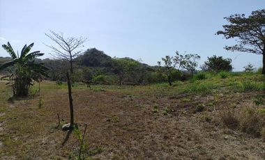 TERRENO DE MONTANA EN EL ESPINO SAN CARLOS