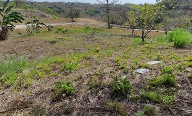 TERRENO DE MONTANA EN EL ESPINO SAN CARLOS