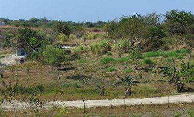 TERRENO DE MONTANA EN EL ESPINO SAN CARLOS