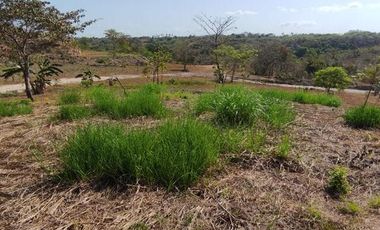 TERRENO DE MONTANA EN EL ESPINO SAN CARLOS