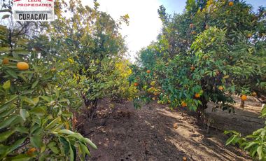 León Propiedades vende  Casa en Parcela en Miraflores