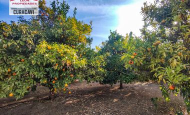 León Propiedades vende  Casa en Parcela en Miraflores