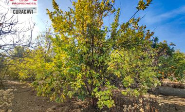 León Propiedades vende  Casa en Parcela en Miraflores